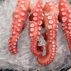 大國屋