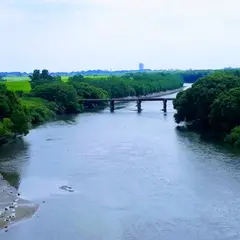渡良瀬遊水地 鷹見台