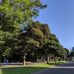 横浜市野島公園バーベキュー場・キャンプ場