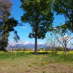 吉田栗園