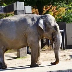いしかわ動物園