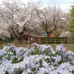 綾南公園 炊事棟