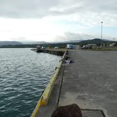 上原港一泊