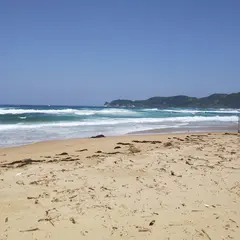琴ケ浜海水浴場