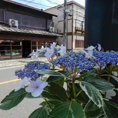 由比ヶ浜大通り