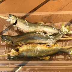 おいでん・やな