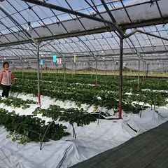 黒羽子観光農園