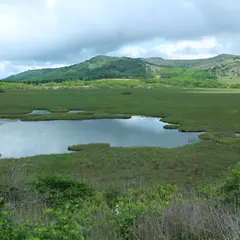 八島ヶ原湿原