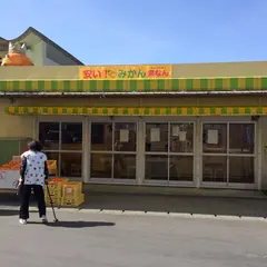 奥駿河湾日曜市（朝市）