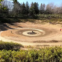 昭和記念公園こどもの森