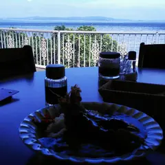 望洋
