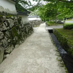 坂本