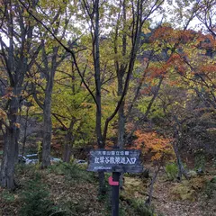 紅葉谷