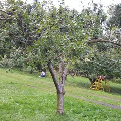 網走観光フルーツ園