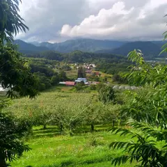 篠原果樹園