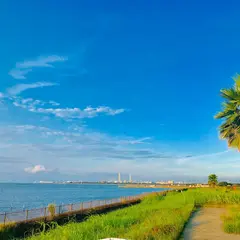 金田さざなみ公園
