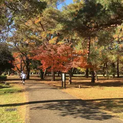 バーベキュー広場