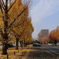 ローソン 熊本県庁通り店