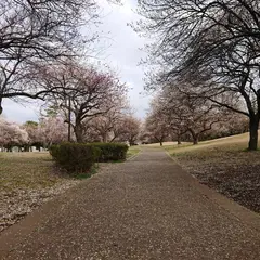 梅園公園