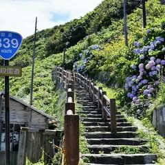 階段国道(下)