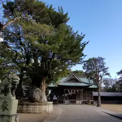 鶴谷八幡宮 安房神社遙拝殿