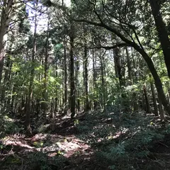 旧天城トンネル
