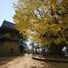 西蓮寺