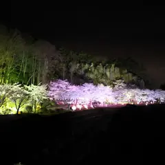 槌ケ崎公園