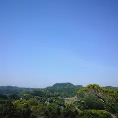 清和県民の森