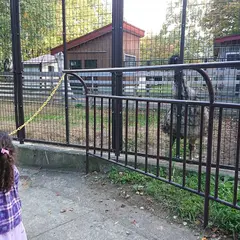 弥生いこいの広場