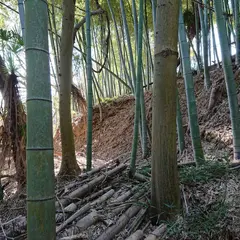 港山城跡