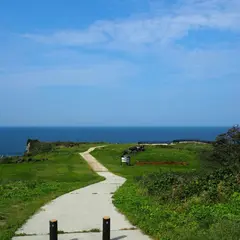 大成古墳群
