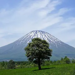 望羊の丘