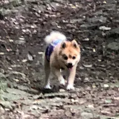 末吉公園