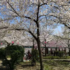 上汐公園