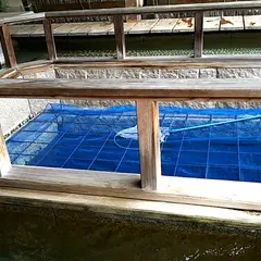 村杉ラジウム温泉 薬師の足湯