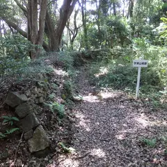 宇津山城跡