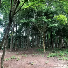 土岐明智城