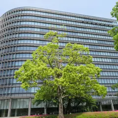 トヨタ自動車 本社