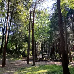 龍ケ崎市森林公園