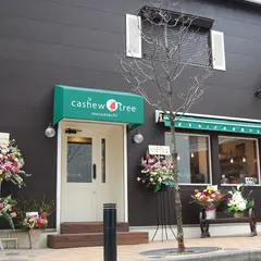 カシューツリー モトマチ