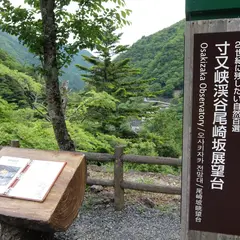 寸又峡渓谷尾崎坂展望台