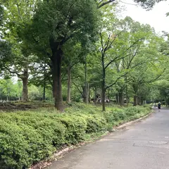 木場公園