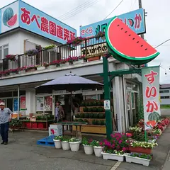 尾花沢すいかの（有）あべ農園