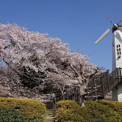 見晴公園