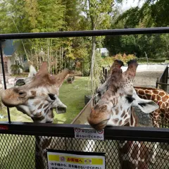 サユリ・ワールド