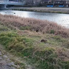 京都市御池地下駐車場 西行入口（木屋町通）
