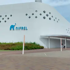 NIFREL（ニフレル）