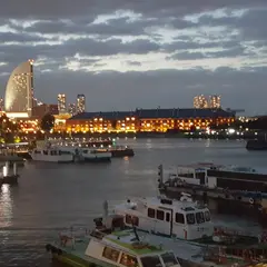 大桟橋