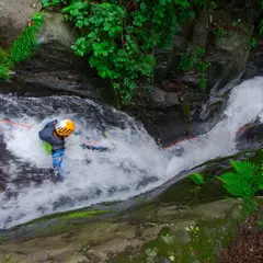 Nikko Jumbo 日光ジャンボ